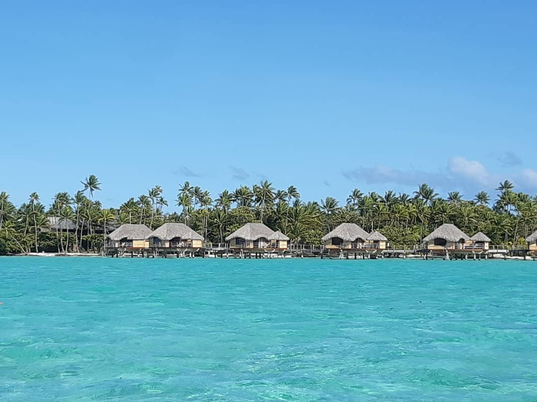 Tahaa Tour Excursion-塔哈岛必去景点