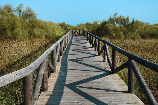 Centro de Interpretacion de la Naturaleza y El Litoral El Camaleon景点图片