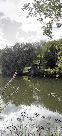 Les Jardins du Loriot景点图片