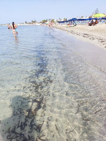 Spiaggia di Tonnarella-马扎拉－德尔瓦洛必去景点