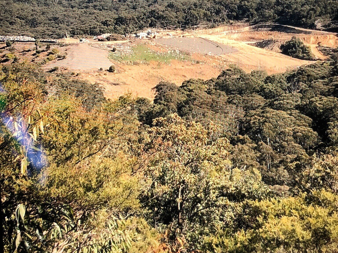 Marshall Road Walking Trail景点图片