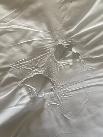 公园康福特茵就主图