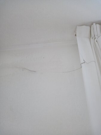 Hotel Villa Flora主图