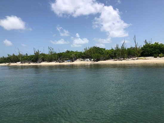 Lagerheads Beach Bar and Watersports-基韦斯特必去景点