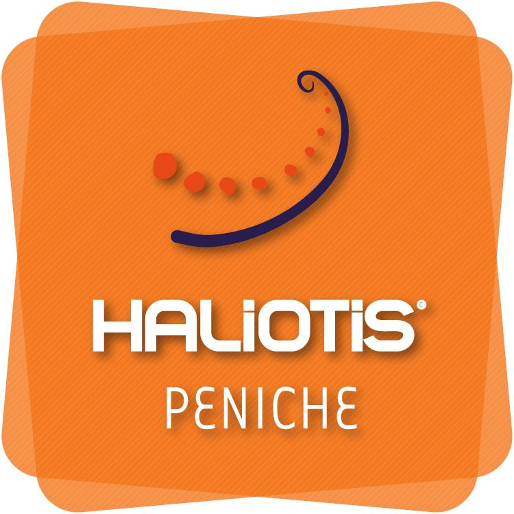 Haliotis-佩尼切必去景点