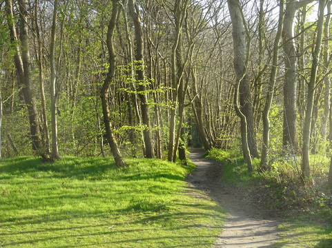 Utrechtse Heuvelrug旅游攻略图片