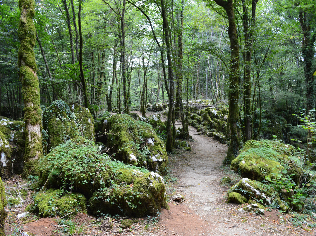 Merey-sous-Montrond旅游攻略图片