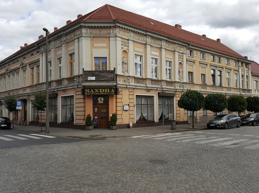 Nowy Tomysl旅游攻略图片