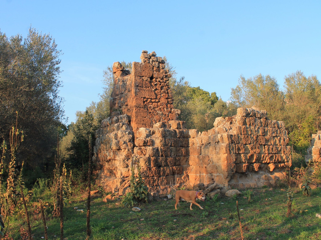 Blera旅游攻略图片