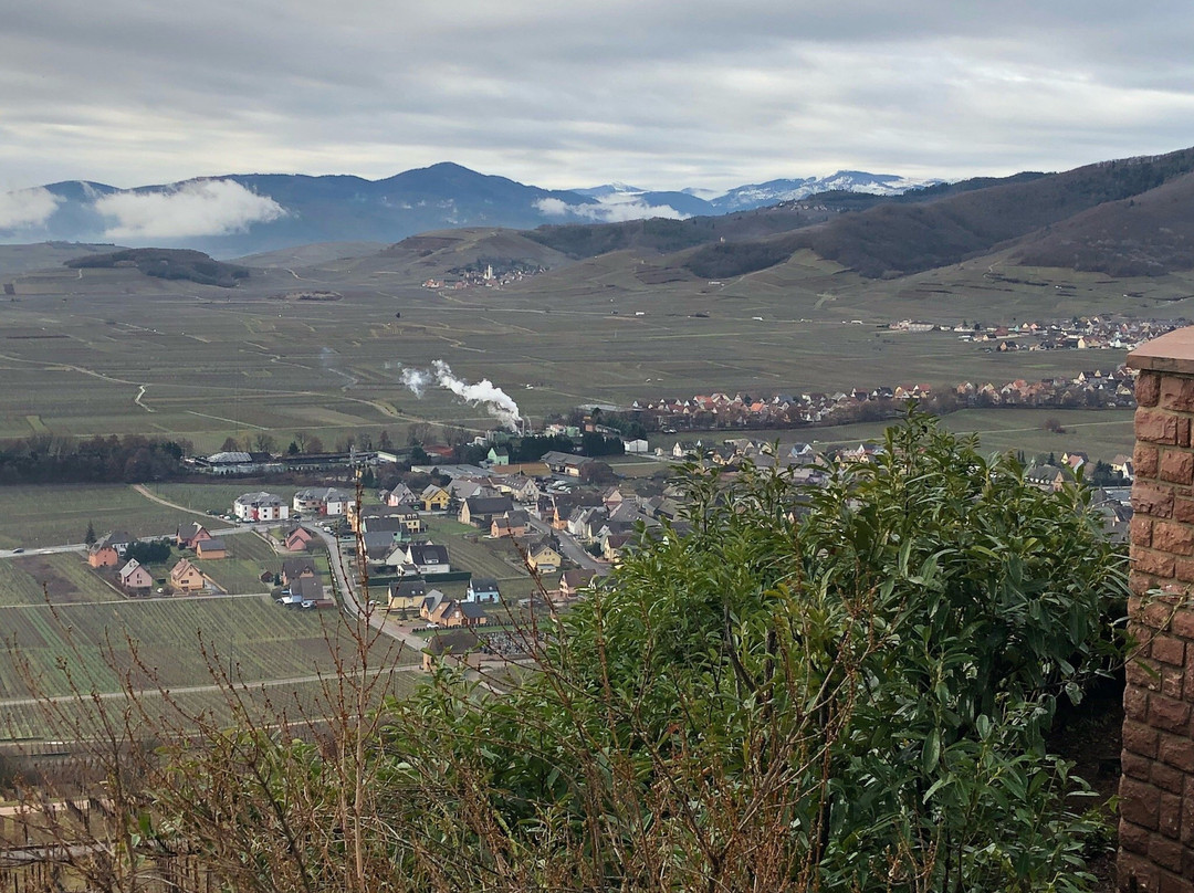 Sigolsheim旅游攻略图片