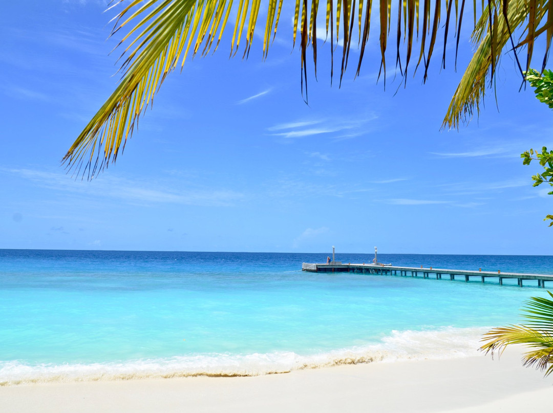 蜜莉喜岛旅游攻略图片