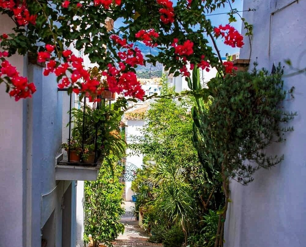 Estepona Town景点图片