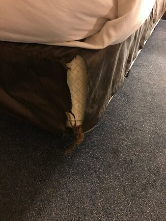 Comfort Suites University主图