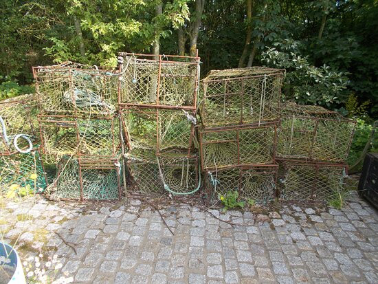 Museum Helgoland-Helgoland必去景点