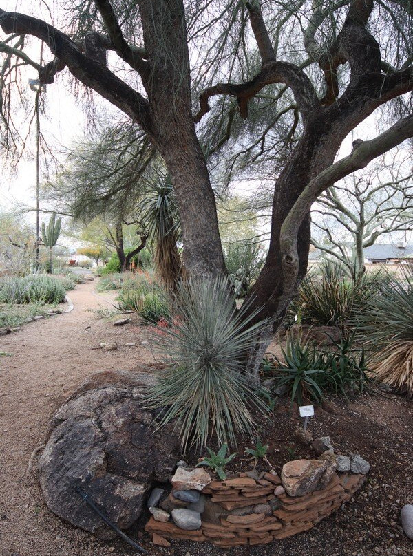 Glendale Public Library-格兰岱尔必去景点