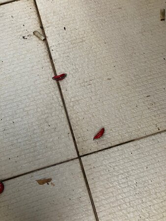 Santa Monica Palace Hotel主图