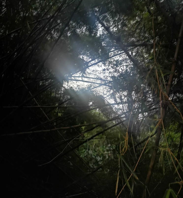 Hotel Martino Spa and Resort主图