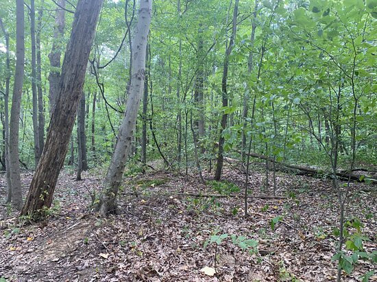 Boone Hollow Wildlife Preserve-Dover必去景点