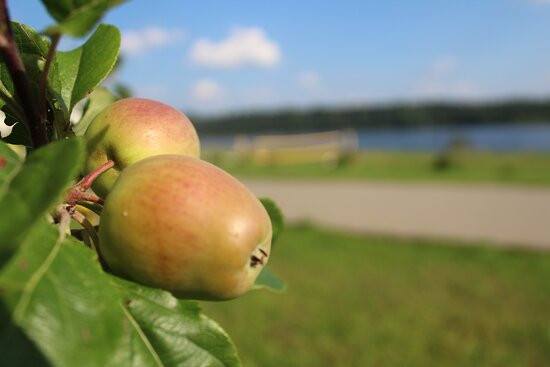 Park Hotel Spasskoye主图