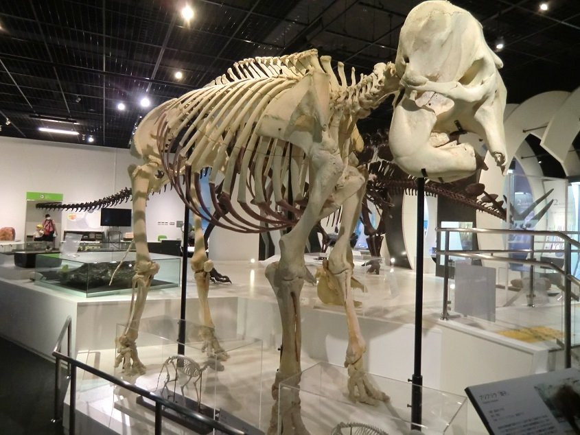 Himeji Science Museum-姬路市必去景点