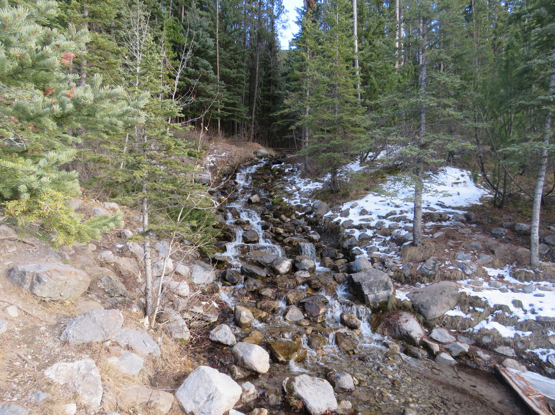 Mount Engadine旅游景点-O'shaughnessy Falls