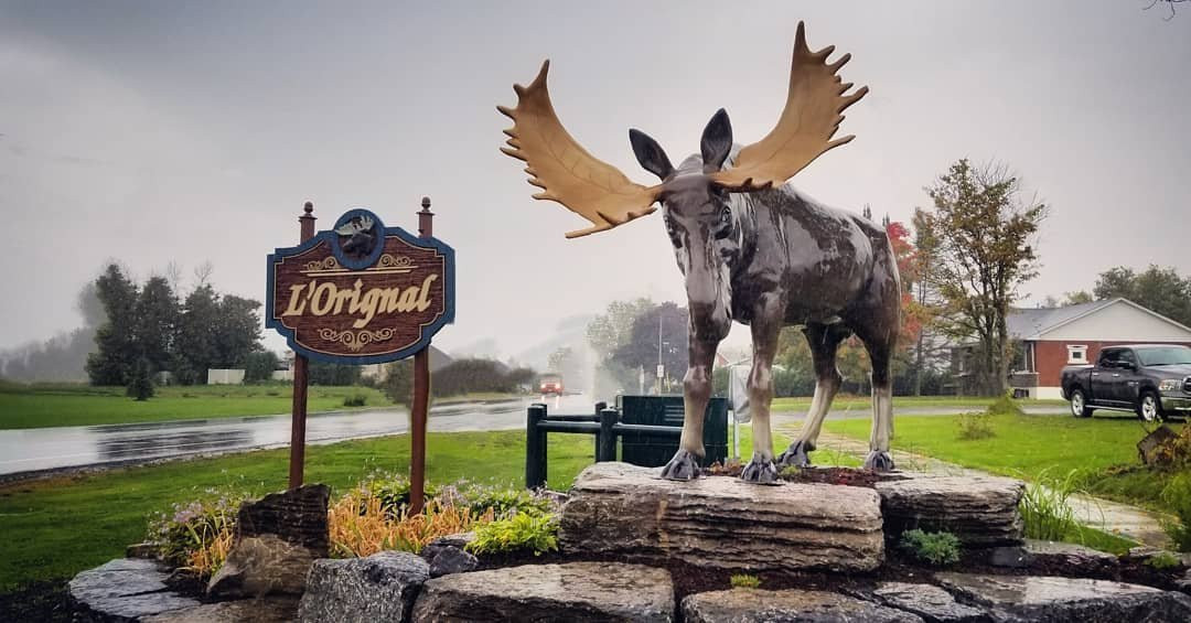 L'Orignal Moose Statue景点图片