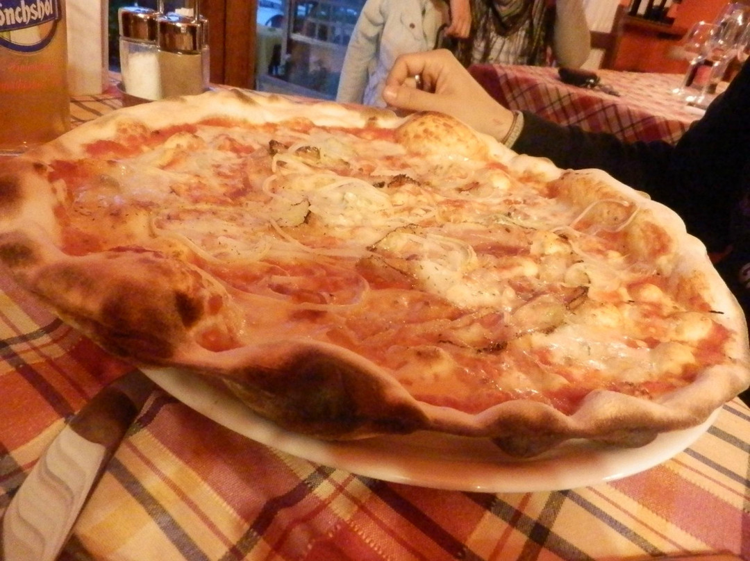 Bar Ristorante Vecchio Olmo