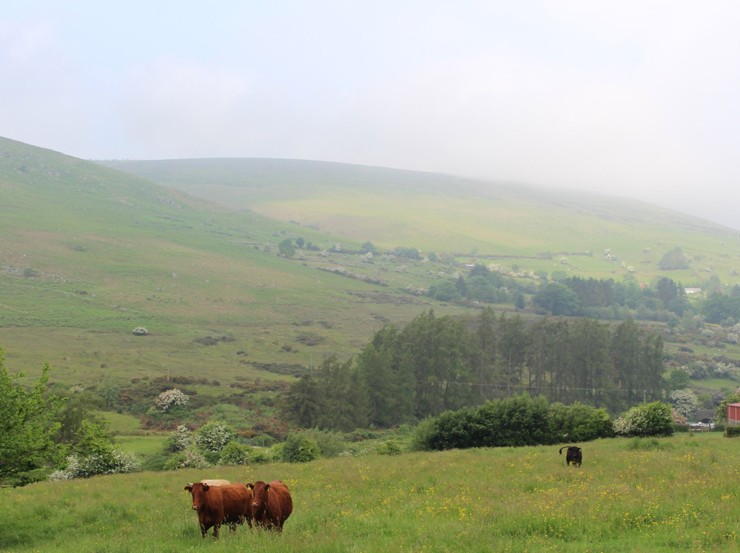 Dublin Mountains Way-塔拉必去景点