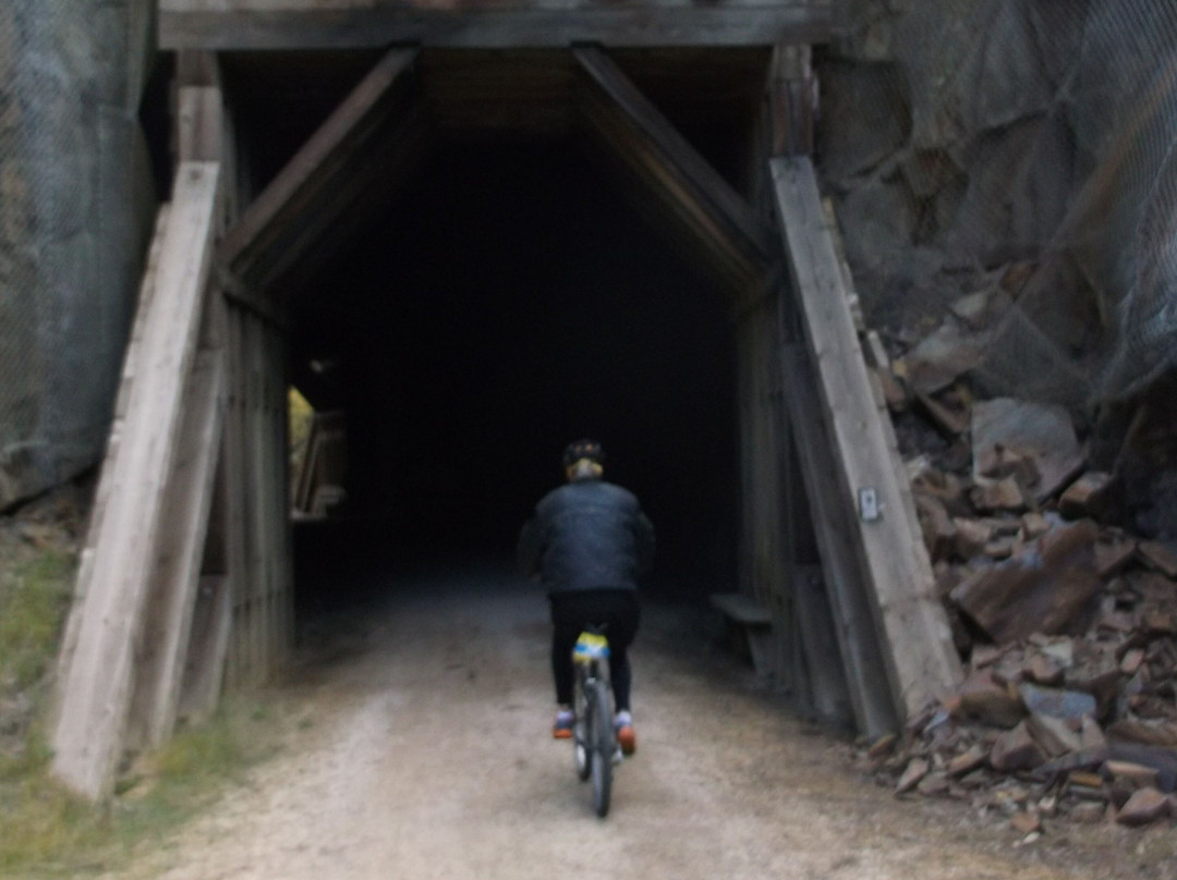 Mile High e-Bikes, LLC-Lead必去景点