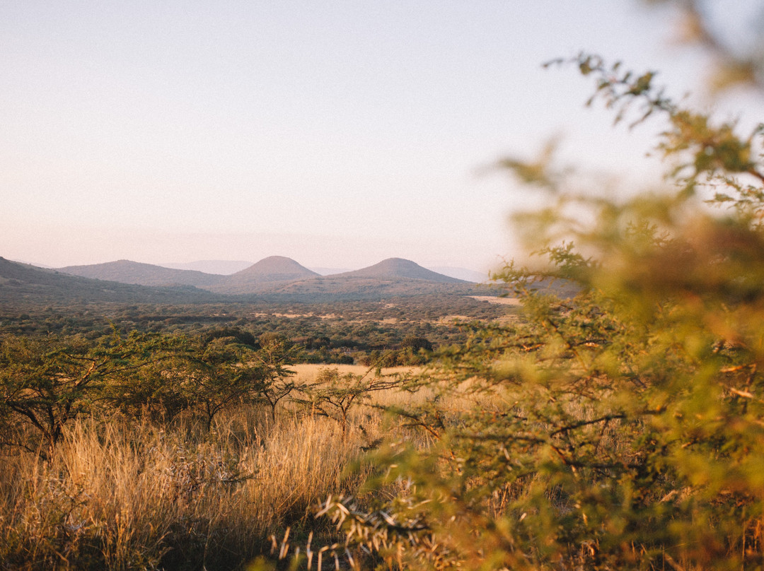 Makongo Hills