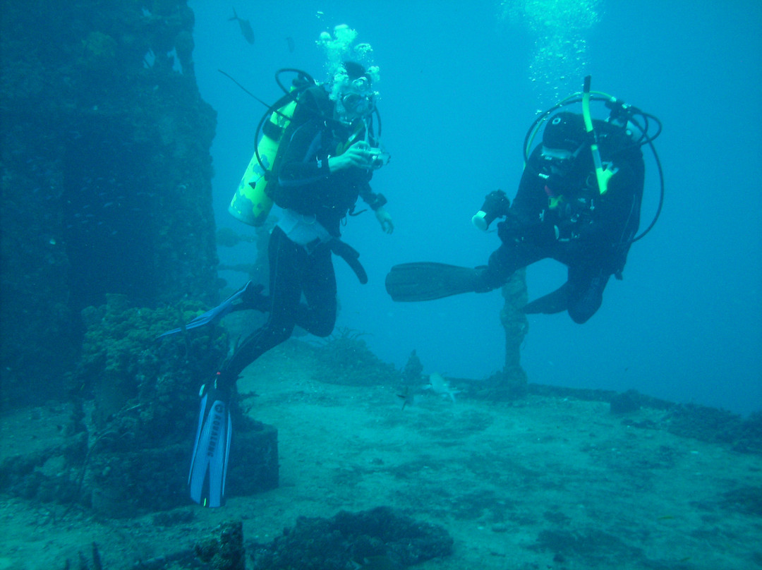 Conch Republic Divers-Tavernier必去景点