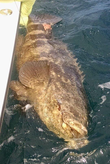 Chew On This-开普科勒尔必去景点