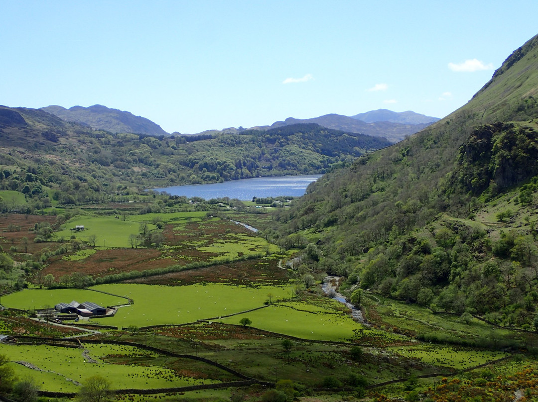 Snowdonia Safaris景点图片