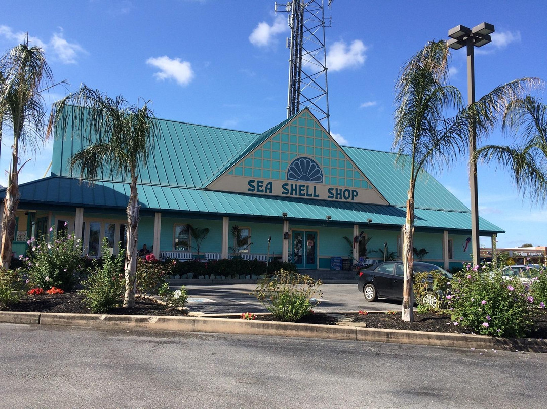 Sea Shell Shop - Coastal Highway