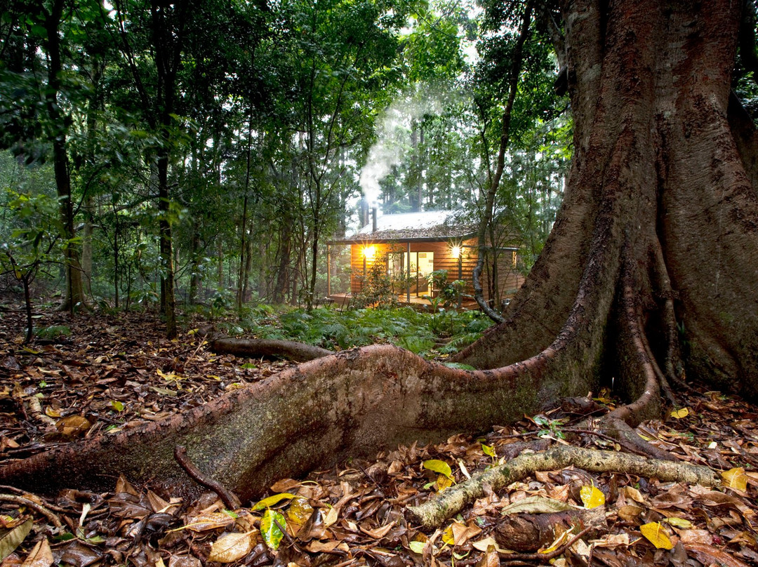 Bunya Mountains Accommodation Centre