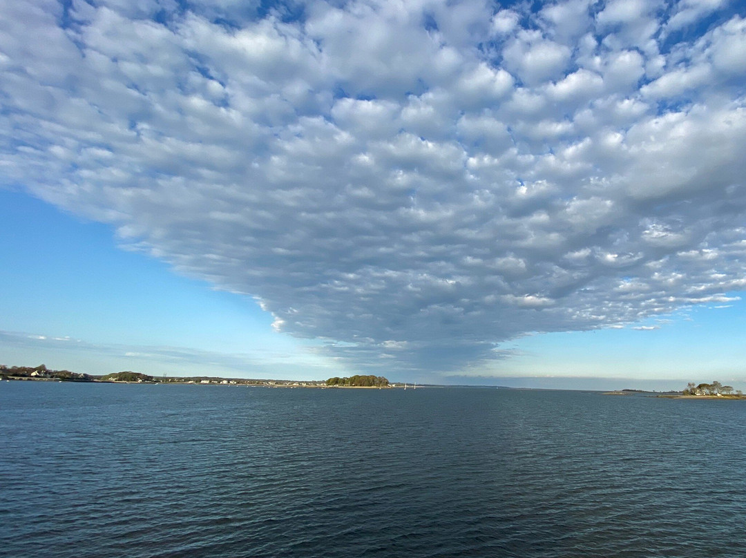 Calf Pasture Beach-诺沃克必去景点