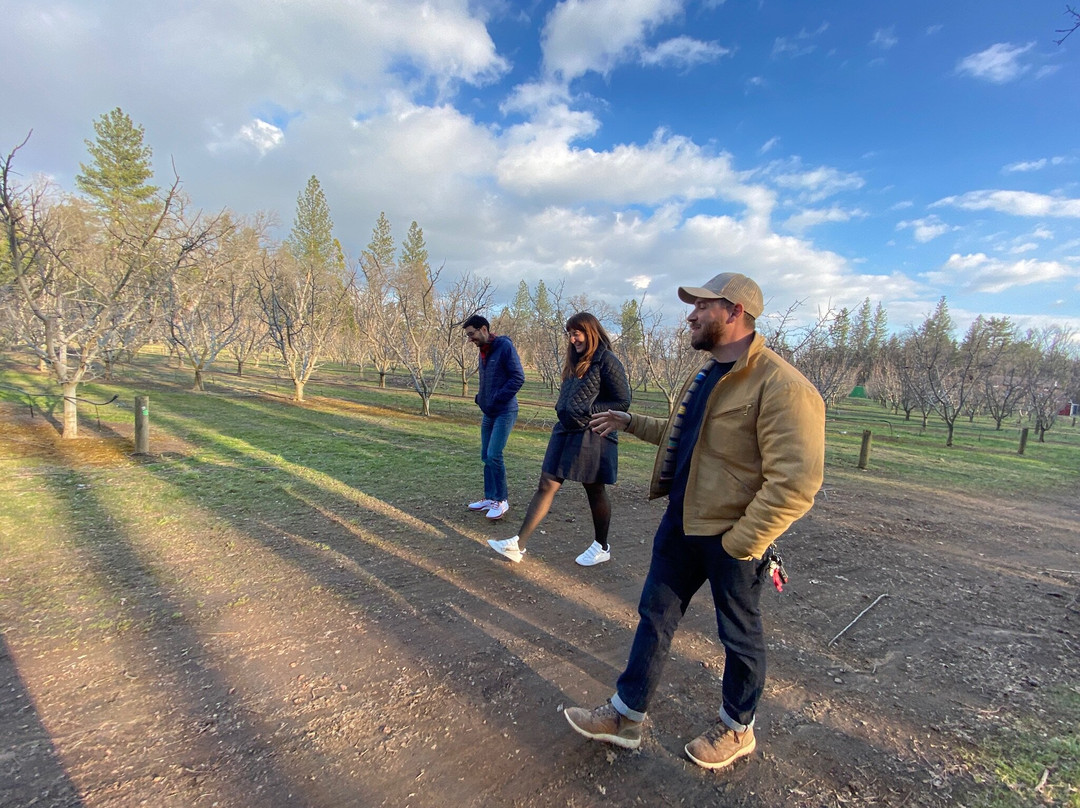 Sierra Cider-马里波萨必去景点