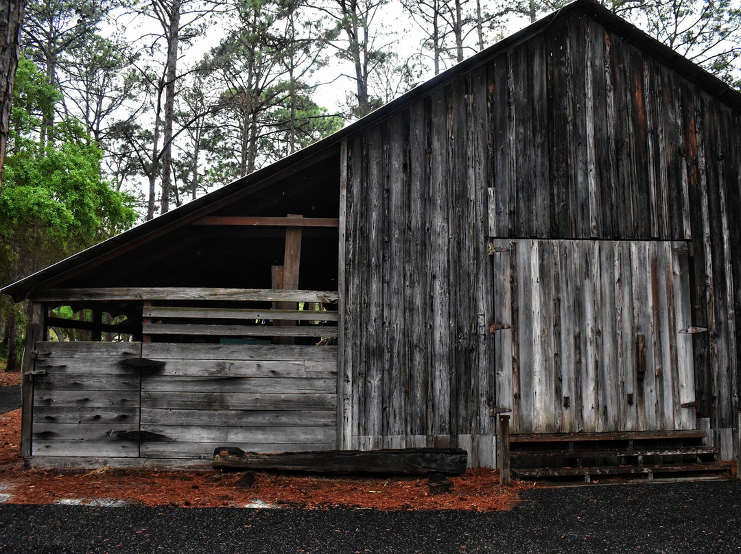 Pinellas County Heritage Village景点图片
