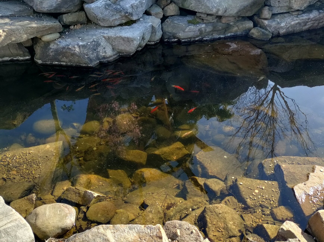 Anakeesta-盖林柏格必去景点