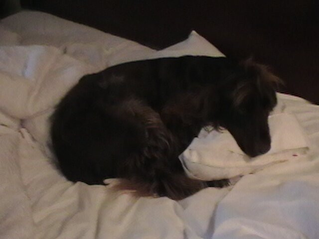 Hampton Inn & Suites Southern Pines-Pinehurst主图