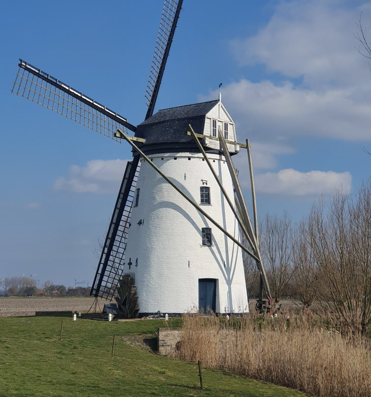 Poldermolen Meetkerke景点图片