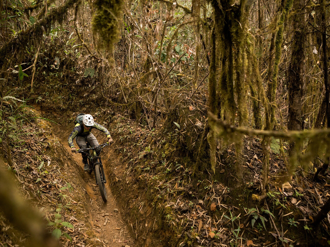 2Wheel Epix-森瓦利必去景点