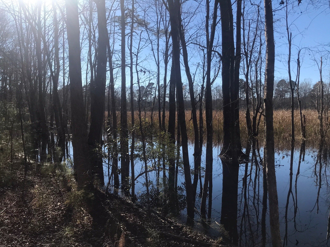 Santee National Wildlife Refuge景点图片