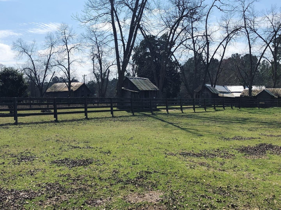 Watermelon Creek Vineyard-Glennville必去景点