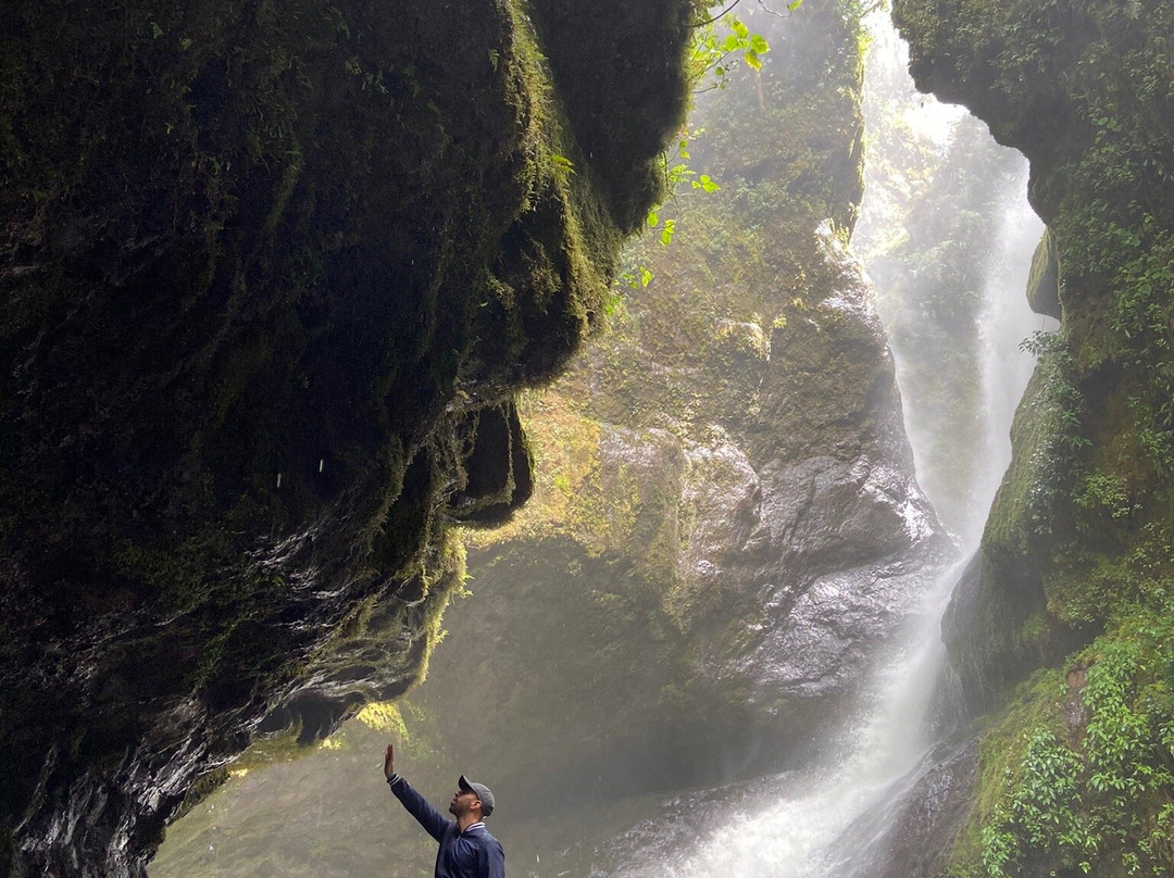 La Cueva de los Guacharos景点图片