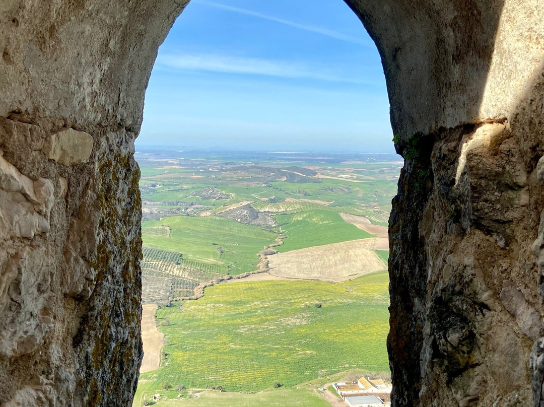 Castillo de Cote景点图片