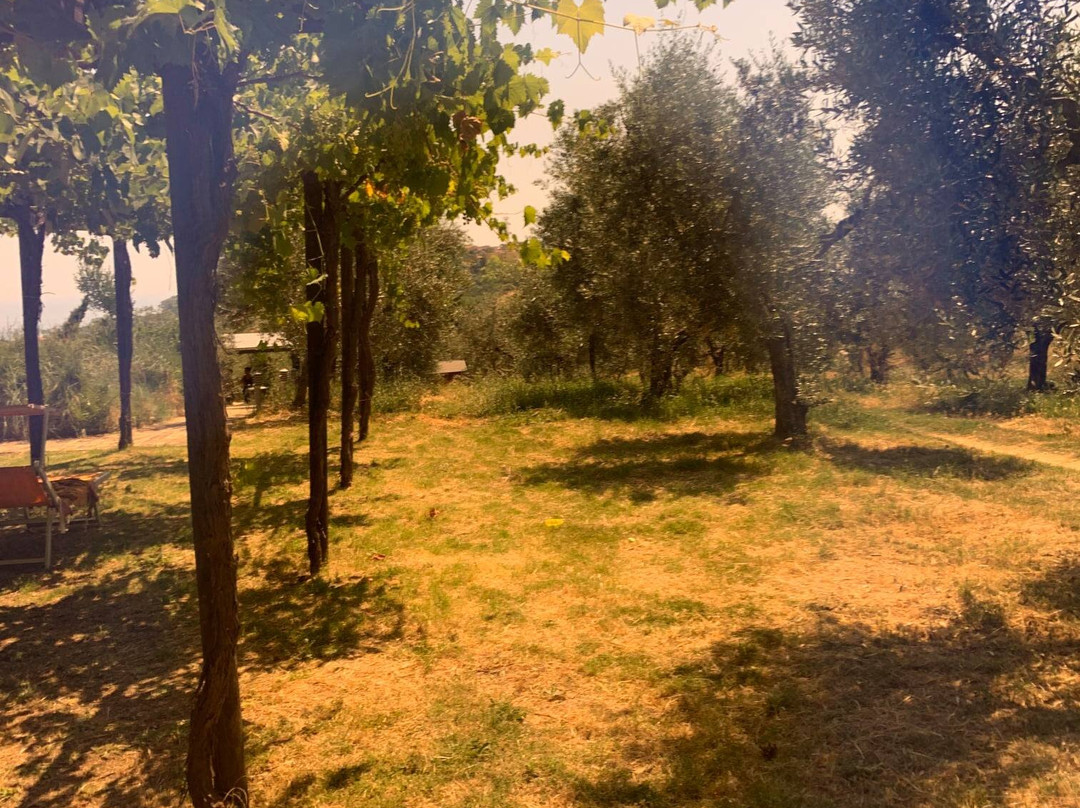 马奇纳农庄酒店主图