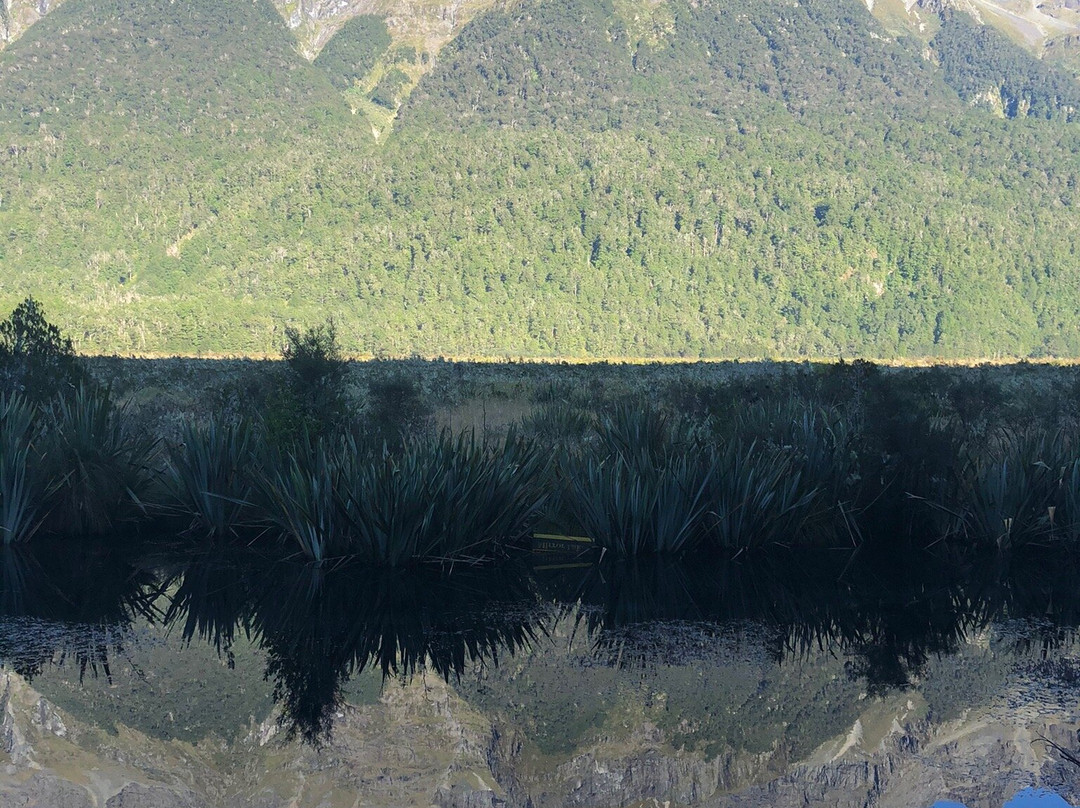 Mirror Lakes Walk景点图片