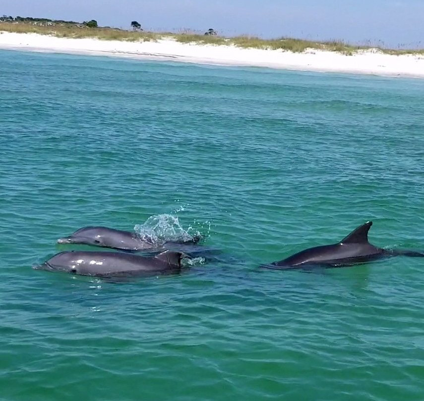 Emerald Coast Island Excursions景点图片