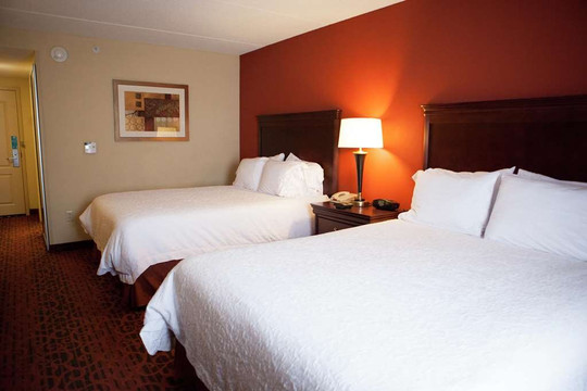 Hampton Inn Rochester-Webster主图
